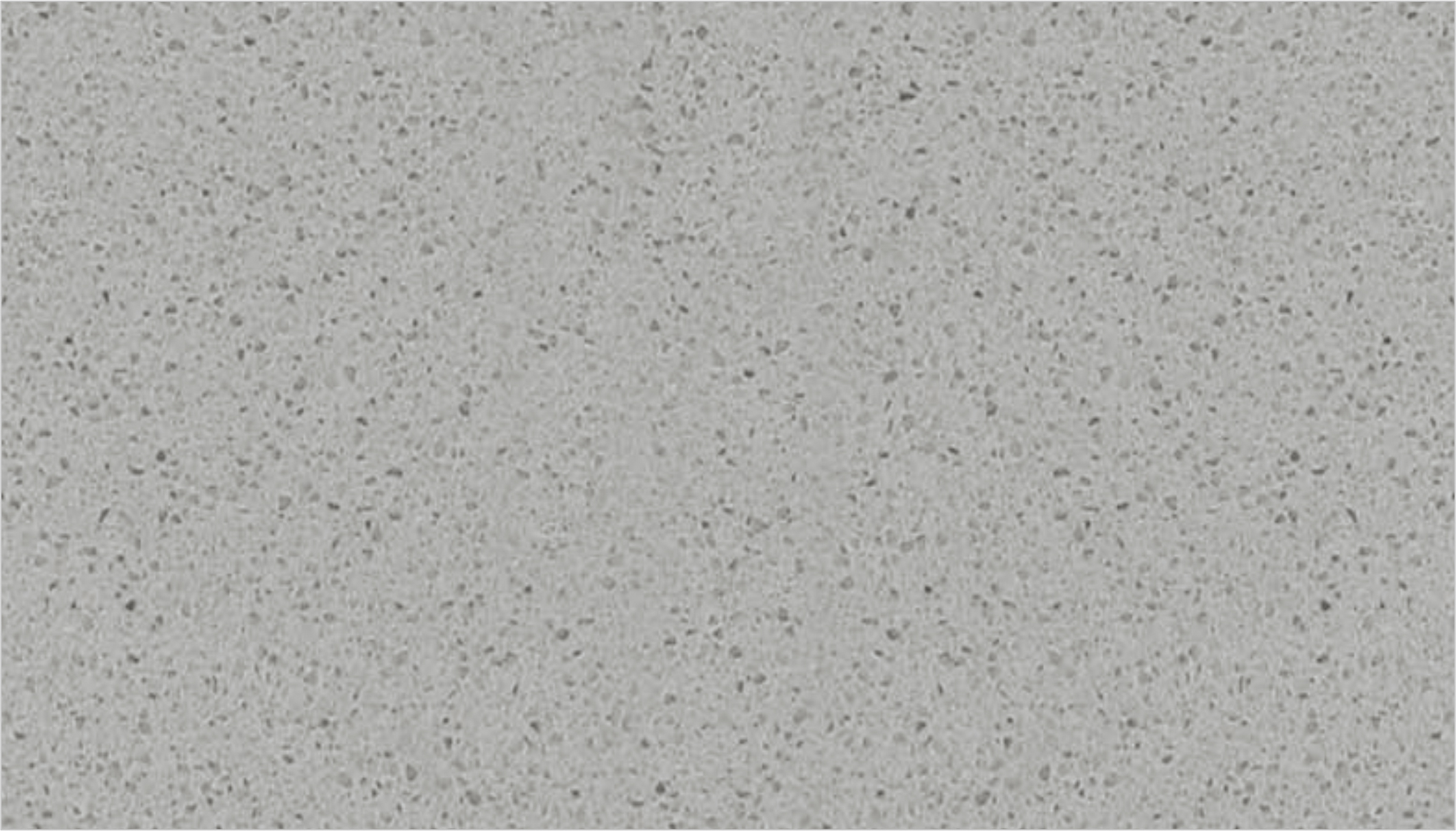204-gris
